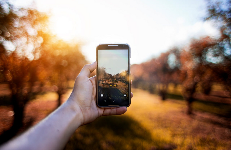 A hand holding a phone up to take a picture of the golden hour amongst nature and trees. 