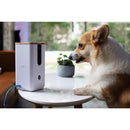 Dogness Smart Camera Treater white